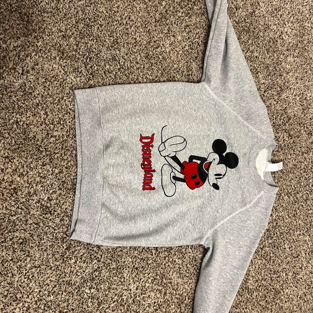 Disney Sweatshirt, used no tags Size Small